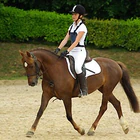 Renarderie Equitation