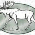 White Moose Resort