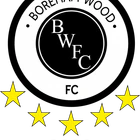 Borehamwood 2000 Football Club