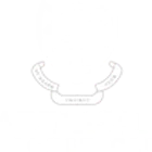 St. Asaph Cricket Club