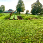 Elements Farm Box CSA Membership