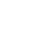 DP Boxing
