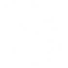 The Wing Chun School Peckham