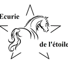Écurie de l'Étoile 29