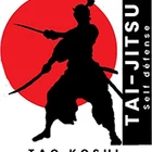 Taokoshi, Club De Taï-Jitsu De Neuville-Sur-Saône
