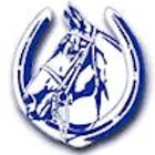 Brocks Farm Riding School and Livery