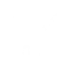 MANOR Sessions