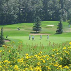 Maple Ridge Men's Golf Club