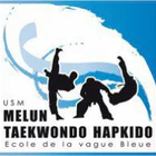 Melun taekwondo et hapkido