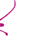 Lisa Williams Dance Studio: Castle Hill