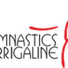 Gymnastics Inc.
