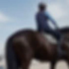 Baylands Equestrian Centre