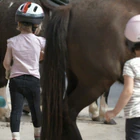 Equestrian Center Jura Sud - Lac De Vouglans