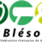 La Blesoise
