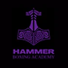Hammer Boxing Academy