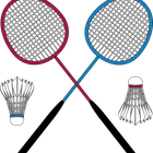 ASPC BADMINTON (Angers - Les ponts de cé)