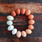 CSA Farm Box Membership