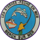 Les Sternes Pêche en Mer