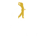 Designer Golf Ltd