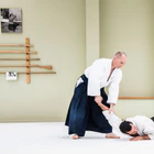 Roberts Sensei Workshop