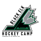 P3 Sports Inc.
