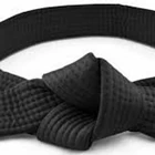 Bridgwater Bushi Karate Club