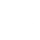 Winter cricket indoor