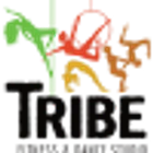 TRIBE Fitness and Dance Studio