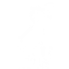 Skate Fitness