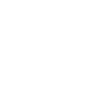 Hibiscus Surf School - Tay Street