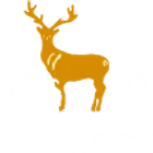 Golf Days at Sutton Green Golf Club