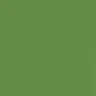 Lateral Health Network