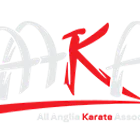 Children's Martial Arts Classes / Karate Whittlesford