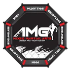 Annecy Muaythai Gym A.m.g