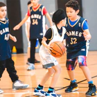 Game6 Sports Academy