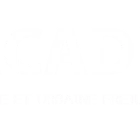 Dp Academy