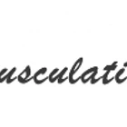 SA. Musculation & Fitness