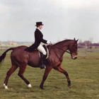 High House Farm Equestrian Services