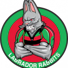 Labrador Junior Oztag Season 3