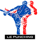 Punching boxe Carcassonne