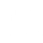 KICK NATION TAEKWONDO