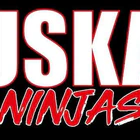 USKA kickboxing