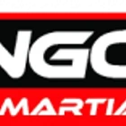 Sengoku Martial Arts