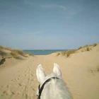 Stables Du Carbet