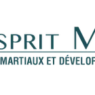 Esprit Martial Franck Delsaut