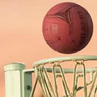 Gatton Social Sport