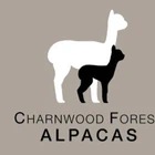 The Riding School at Charnwood Forest Alpacas