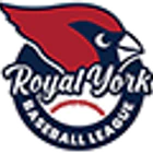 Royal York Baseball