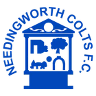 Needingworth Colts Football Club