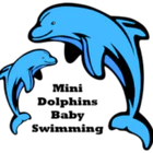 Mini Dolphins